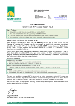 Heron South-1 Progress Report No. 6