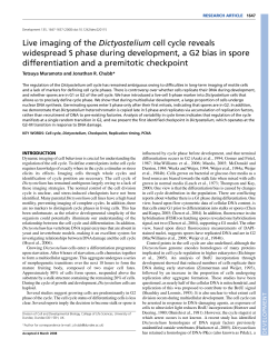 Live imaging of the Dictyostelium cell cycle reveals