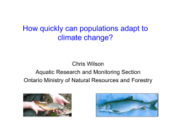 How quickly can populations adapt to climate change?