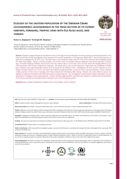 Ecology of the eastern population of the Siberian Crane