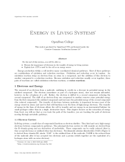 Energy in Living Systems