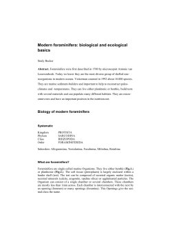 Modern foraminifera: biological and ecological basics