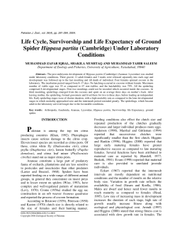 Life Cycle, Survivorship and Life Expectancy of Ground Spider
