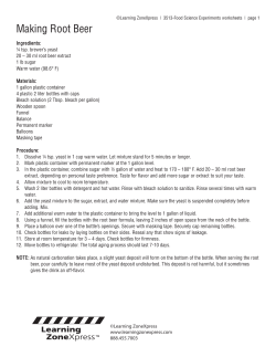 Making Root Beer - Learning Zone Express