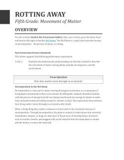 rotting away - California Science Center