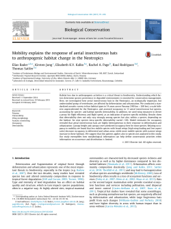 Mobility explains the response of aerial insectivorous bats to