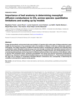 Importance of leaf anatomy in determining mesophyll diffusion