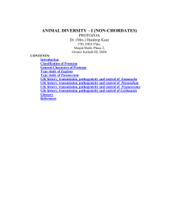 animal diversity &ndash; i (non-chordates)