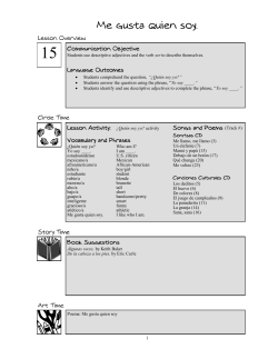 Level II Lessons - Sonrisas Spanish School