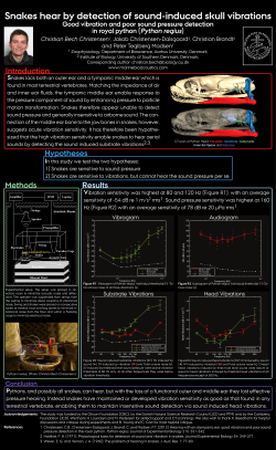 Good vibration and poor sound pressure detection in royal python
