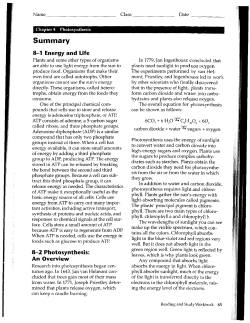 Ch 8 Text Study Guide