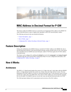 MAC Address in Decimal Format for P-GW