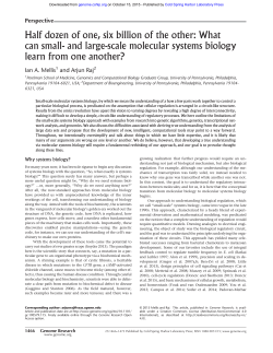 Half dozen of one, six billion of the other: What can small