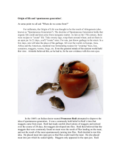 Origin of life and `spontaneous generation`.