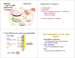 10 Membrane Transport 9 21 05