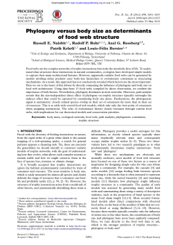 Phylogeny versus body size as determinants of food web