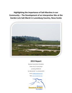 Highlighting the Importance of Salt Marshes in our Community &ndash; The