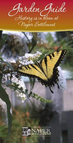 NS Garden GuideRev4.indd
