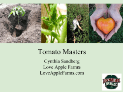 Tomato Masters - Love Apple Farms