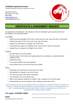 Certificate Level 2 - Tandivale Equestrian Centre
