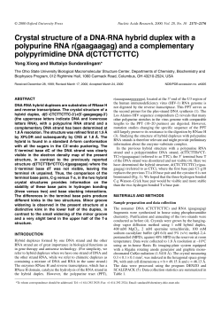 Crystal structure of a DNA&middot;RNA hybrid duplex