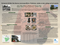 Cloning the Old Main Oak (Quercus macrocarpa Michx.)