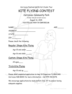 Kite Flying Contest &ndash; Registration Form