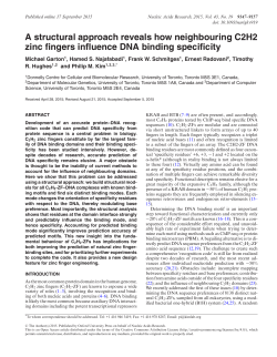 A structural approach reveals how neighbouring C2H2 zinc fingers
