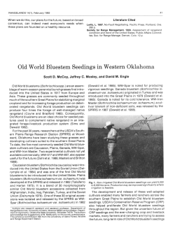 Old World Bluestem Seedings in Western Oklahoma