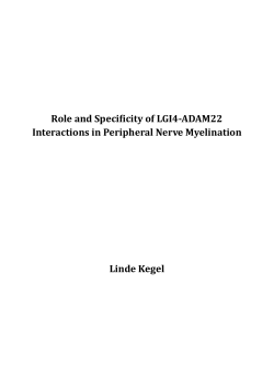 Free Full Text ( Final Version , 2mb )