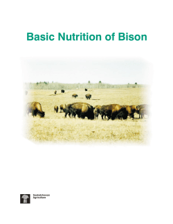 Basic Nutrition of Bison - University of Saskatchewan