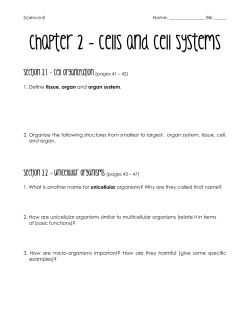 Chapter 2 - Cells and Cell Systems