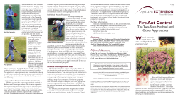 Fire Ant Control