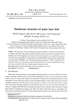 Ｍ ｅｍｂｒａｎｅ ｓｔｒｕｃｔｕｒｅ ｏｆ ｐｏｌａｒ ｂｅａｒ ｈａｉｒ
