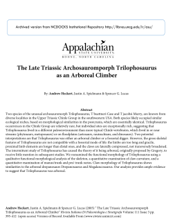 The Late Triassic Archosauromporph Trilophosaurus as an Arboreal