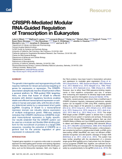 CRISPR-Mediated Modular RNA