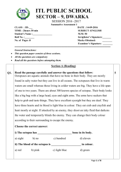 Question Paper Summative Assessment