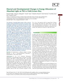 Diurnal and Developmental Changes in Energy Allocation of