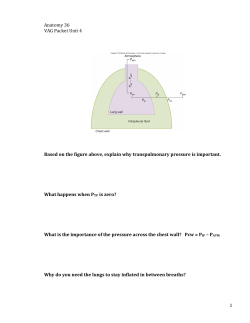 1 Anatomy 36 VAG Packet Unit 4 Based on the figure above, explain