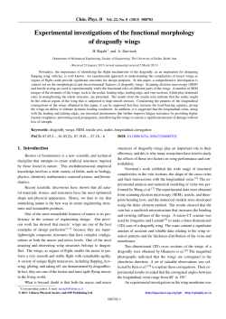 Experimental investigations of the functional morphology of