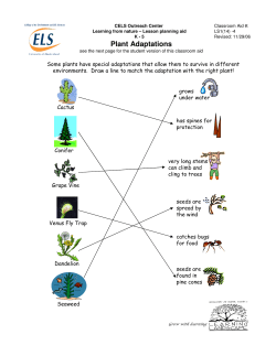 Plant Adaptations
