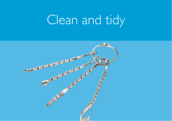 Clean and tidy - cadw.wales.gov.uk