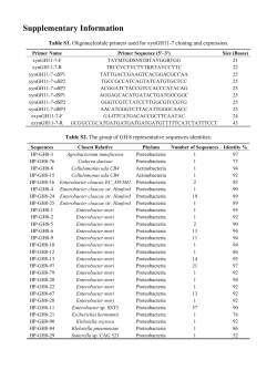 Supplementary Information