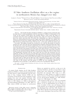 El Ni&tilde;no&ndash;Southern Oscillation effect on a fire regime in northeastern