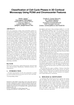 Classification of Cell Cycle Phases in 3D