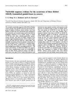Nucleotide sequence evidence for the occurrence of three distinct