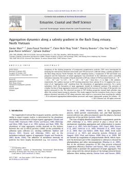 Aggregation dynamics along a salinity gradient in the Bach