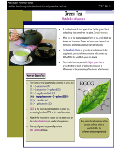 Green Tea - Pennington Biomedical Research Center
