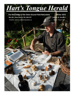 Hart`s Tongue Herald - Owen Sound Field Naturalists