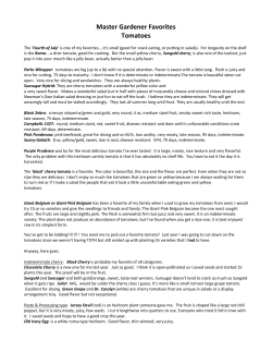 Master Gardener Favorites Tomatoes